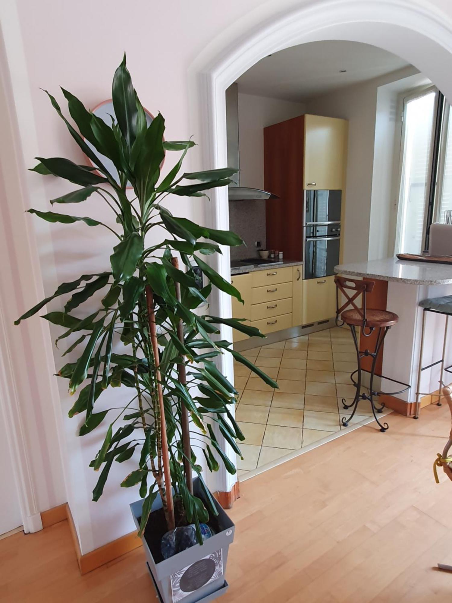 Appartamento From 1882, Romantic Flat, In The Golden Square